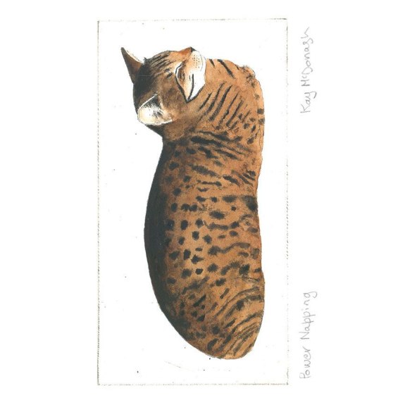 Power Napping - Kay McDonagh