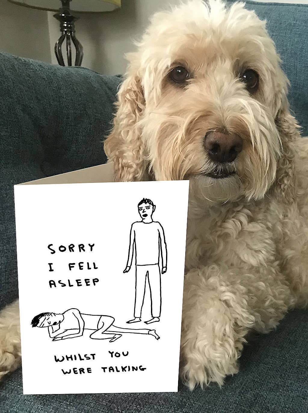 Funny David Shrigley Greetings Card - Sorry I Fell Asleep