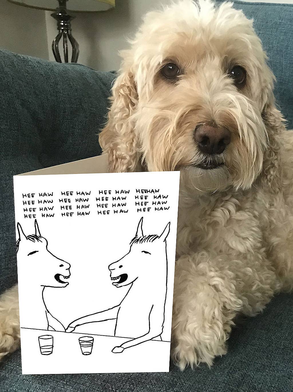 Funny David Shrigley Greetings Card - HeeHaw