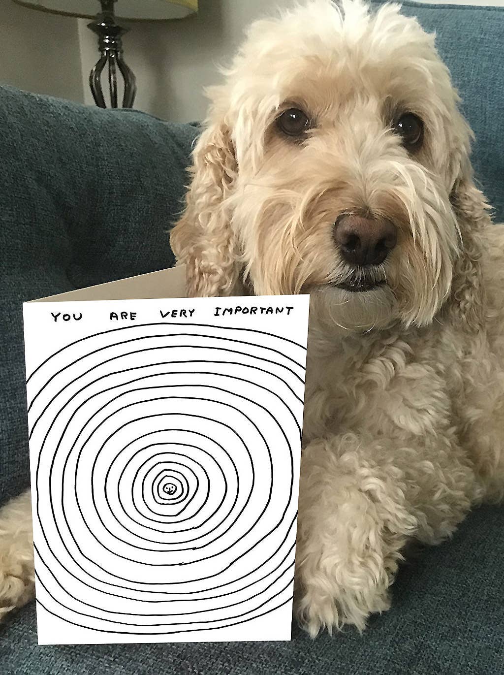 Funny David Shrigley Greetings Card - You Are Very Important