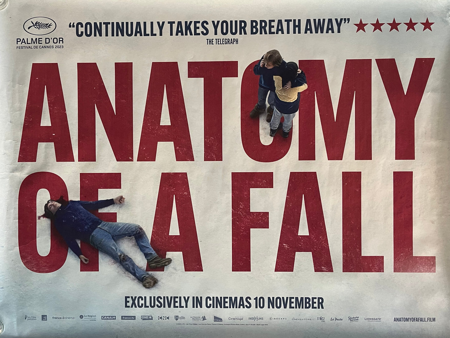 'Anatomy of a Fall' Poster
