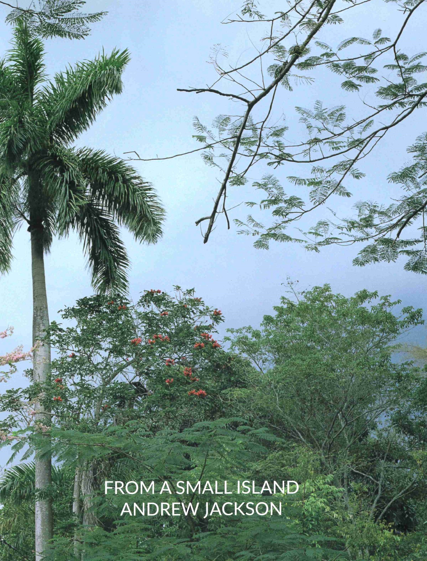 Andrew Jackson: From a Small Island