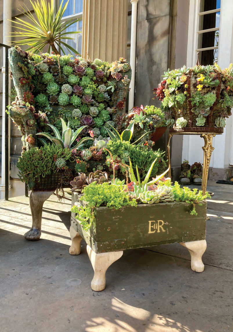 The Throne Grayson’s Art Club Postcard