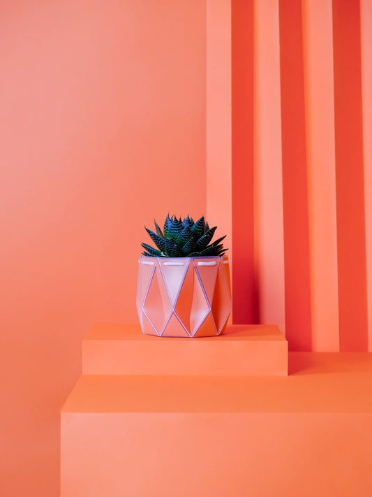 11cm Self-watering POTR | Coral Orange