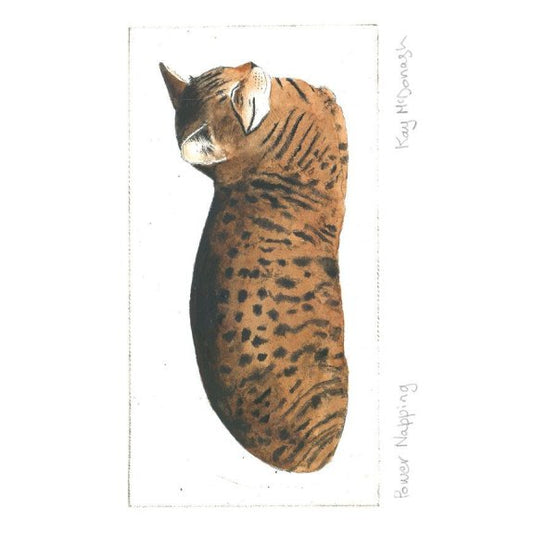 Power Napping - Kay McDonagh