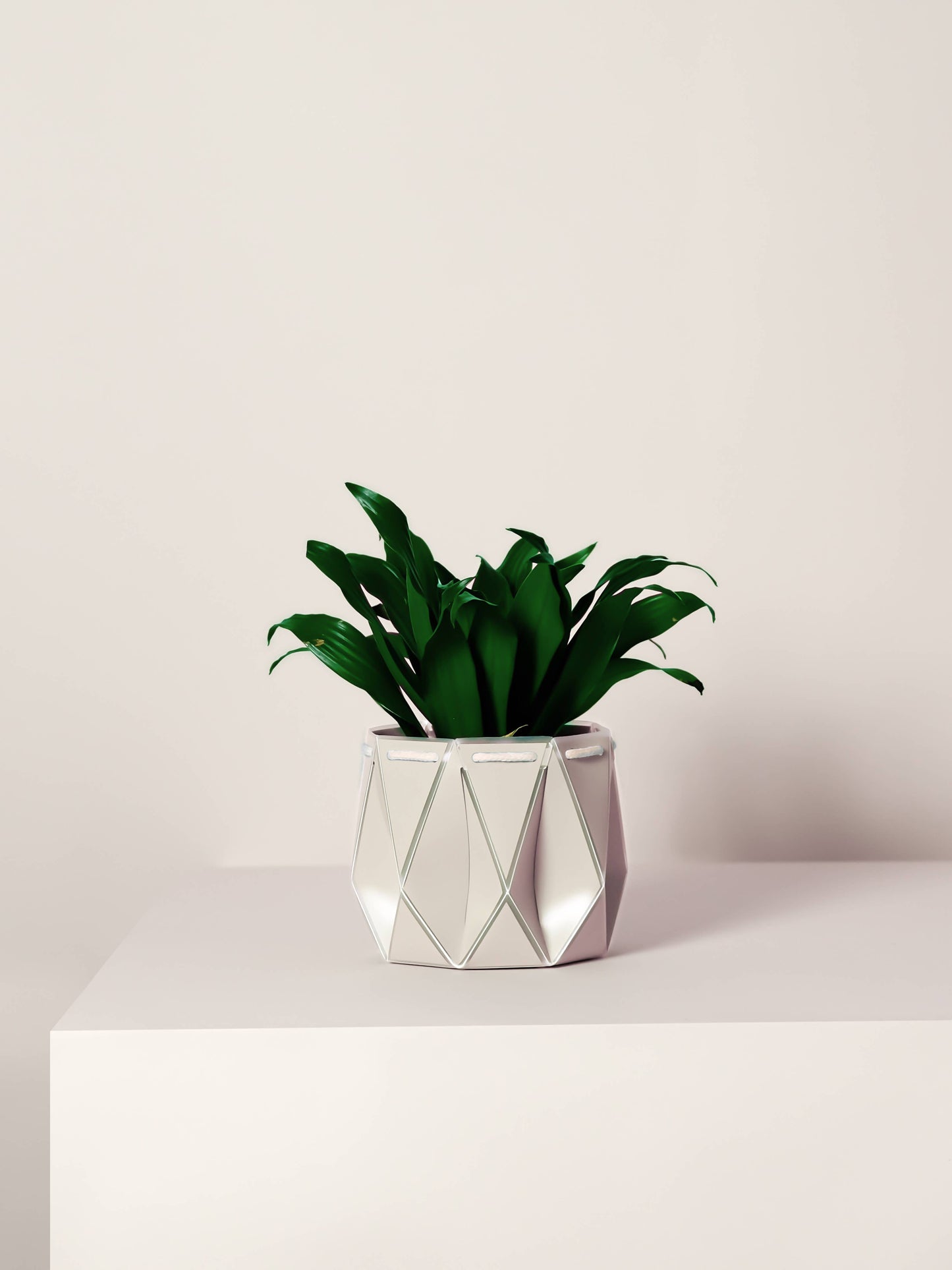 15cm Self-watering POTR | Ivory White