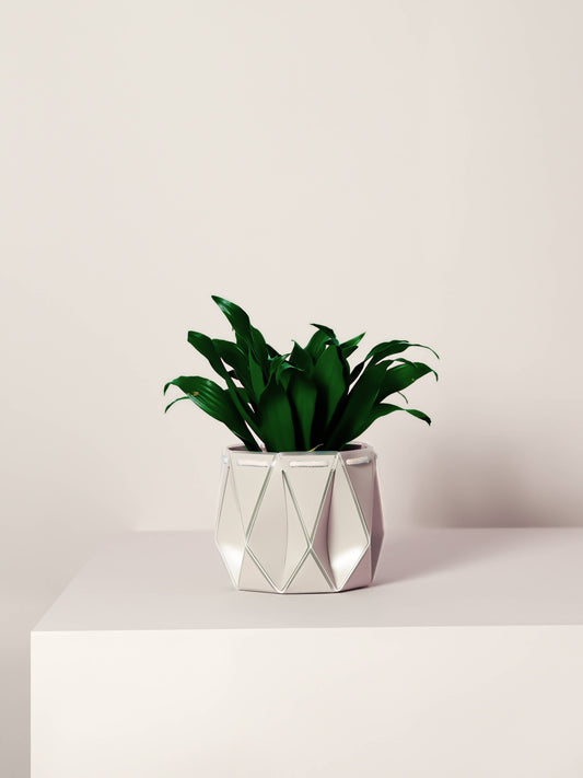 15cm Self-watering POTR | Ivory White