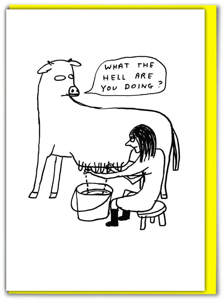 Funny David Shrigley Greetings Card - What The Hell Funny