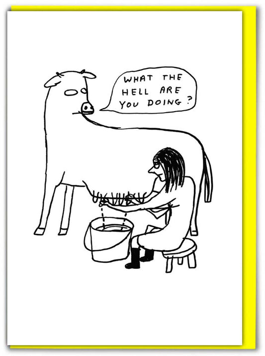 Funny David Shrigley Greetings Card - What The Hell Funny