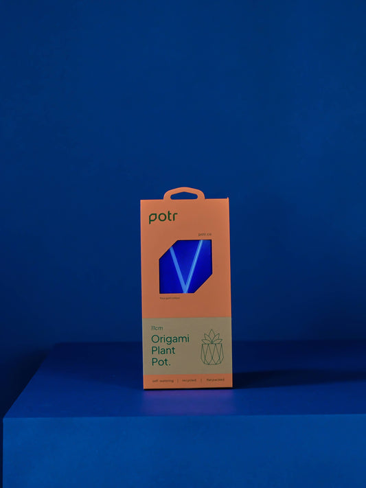 11cm Self-watering POTR | Navy Pot