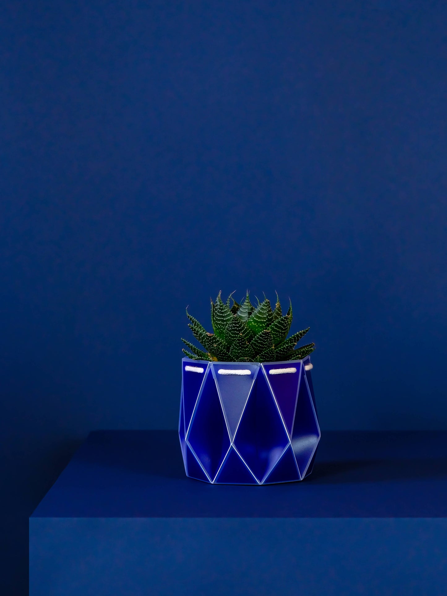 11cm Self-watering POTR | Navy Pot