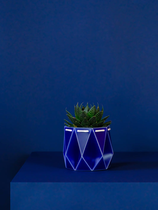 11cm Self-watering POTR | Navy Pot