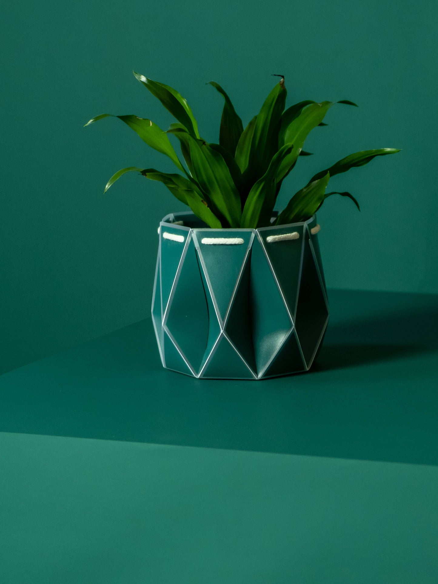 11cm Self-watering POTR | Dark Teal