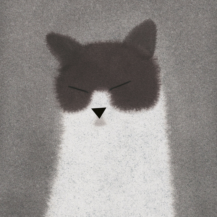 Fernando Martin Godoy - Cat 1 (Dialogue with a Cat)