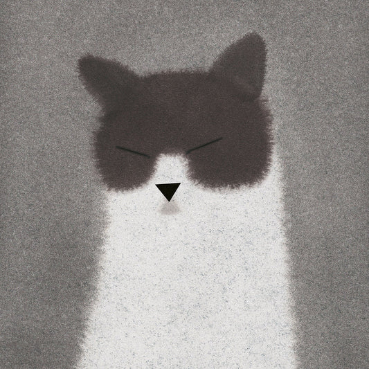Fernando Martin Godoy - Cat 1 (Dialogue with a Cat)
