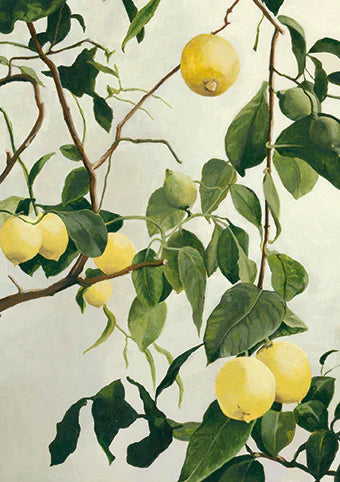 Holly Newman - Fresh from the Vine