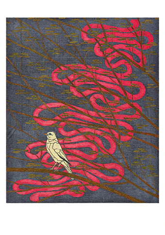 Stephen Chambers - Birds of Extinction 3