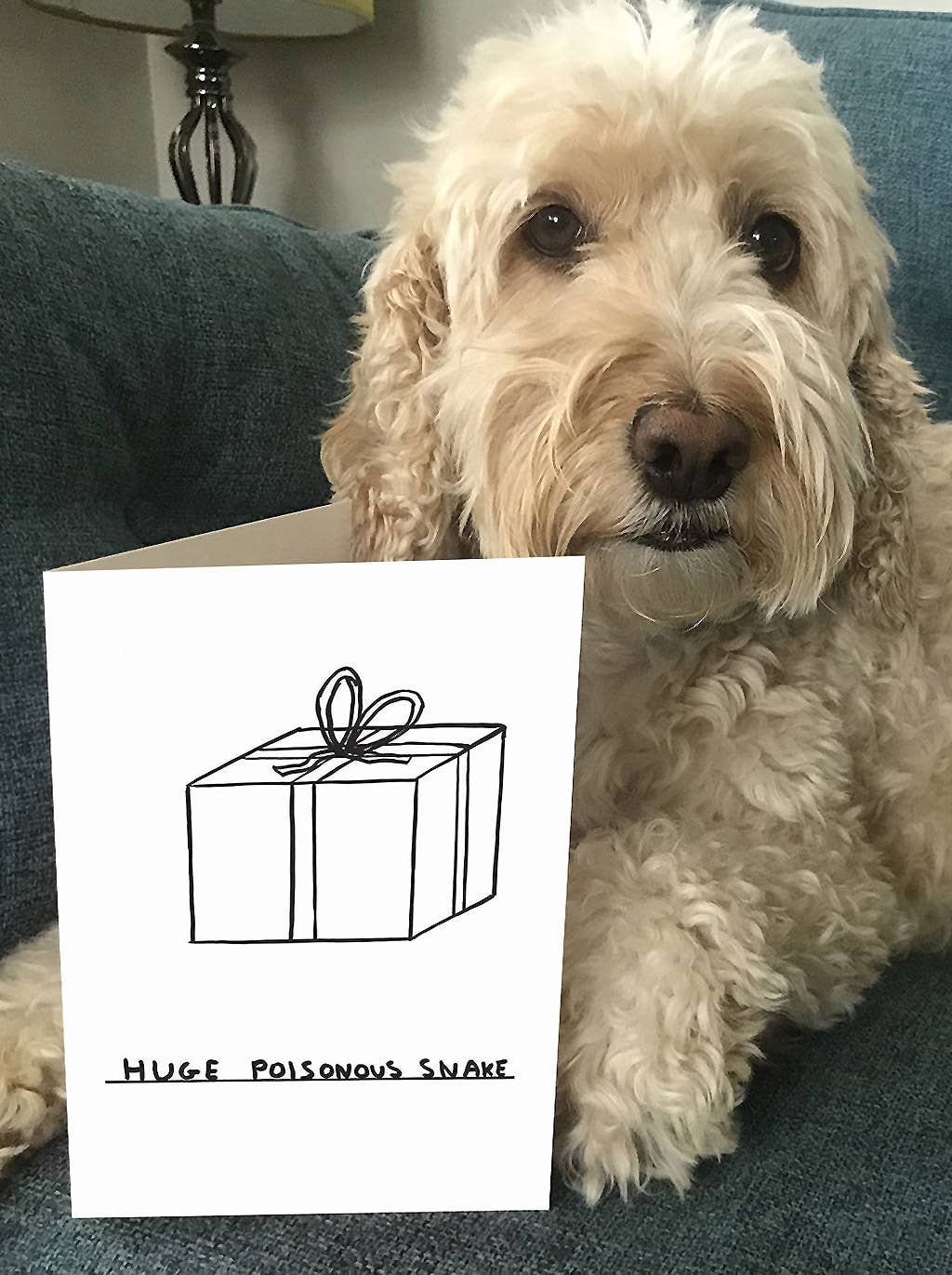 David Shrigley Funny Christmas Card - Huge Poisonous Snake