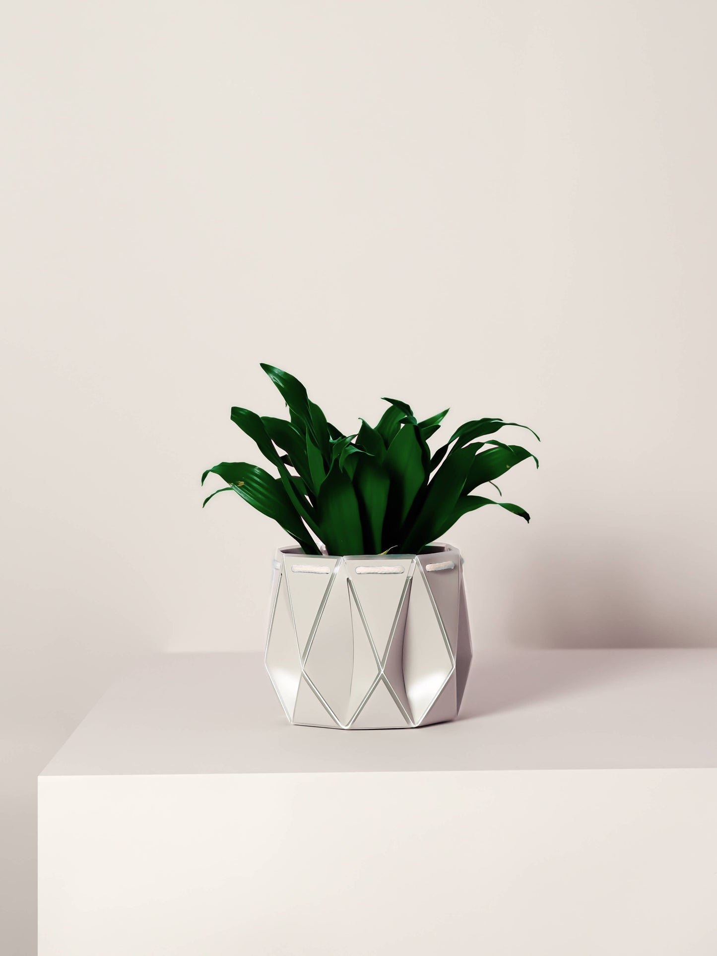 15cm Self-watering POTR | Ivory White