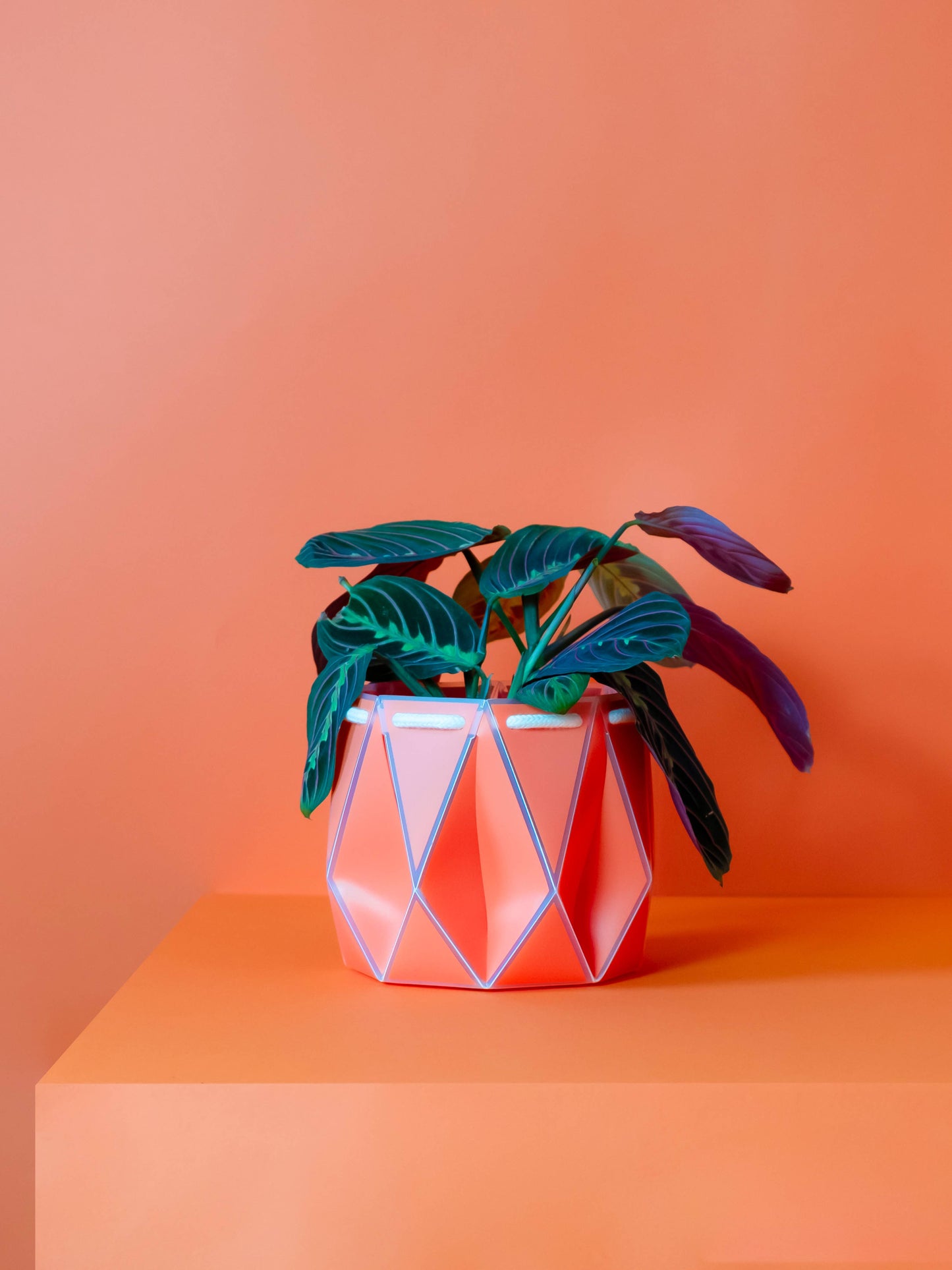 15cm Self-watering POTR | Coral Pot