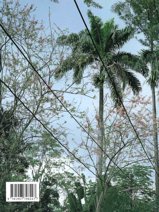 Andrew Jackson: From a Small Island